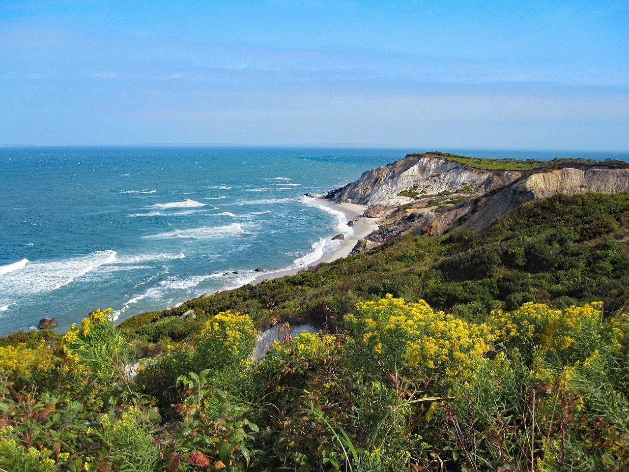   40th Anniversary Celebration   Martha’s Vineyard Mediation Program is celebrating our 40th Anniversary with our first (!) official fundraising event, and we are now accepting sponsorships and auction donations to help make this event a roaring succ