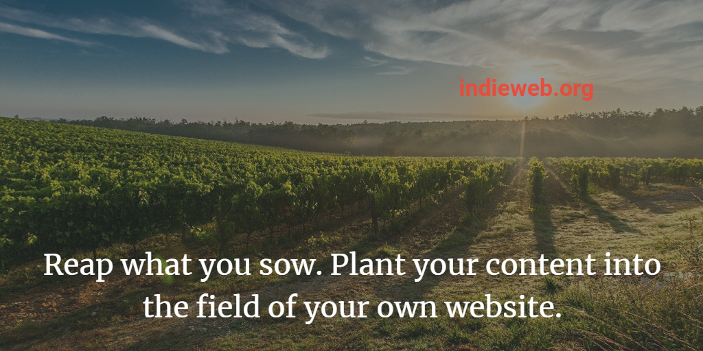 Reap what you sow. Plant your content into the field of your own website.