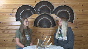 Back to Back Spring Turkey Part 2 thumbnail