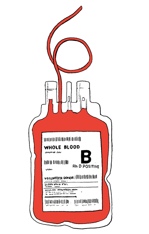 Sechs Wochen – so lange sind Blutspenden haltbar.