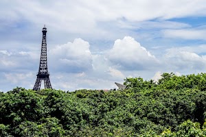 Mithilfe von Google können bedrohte Habitate unter Wasser sichtbar gemacht werden