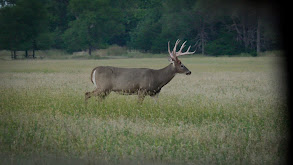 Nebraska Archery With Tombo and T-Farr thumbnail