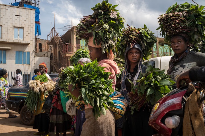 Mujeres cargando plantas en las calles de Bukavu