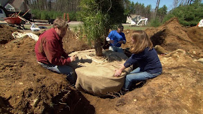 Moving Trees; Hooking Up a Washer thumbnail