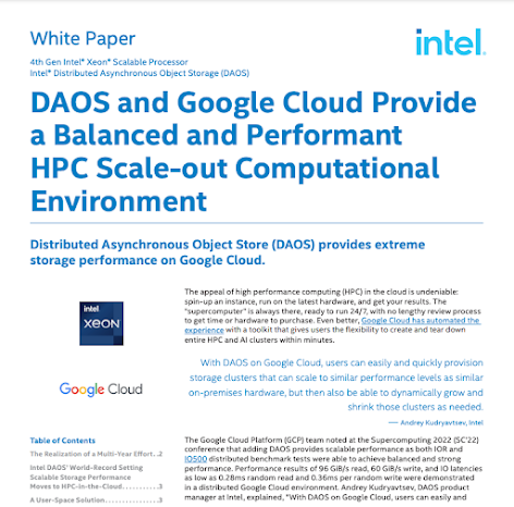 Immagine white paper DAOS