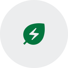 Leaf icon with lightning bolt