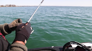 Lake St. Clair 1-2 Punch thumbnail