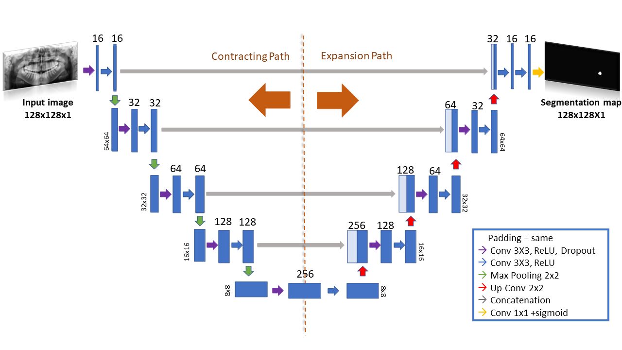 Age_Estimation_Using_LL3rdM