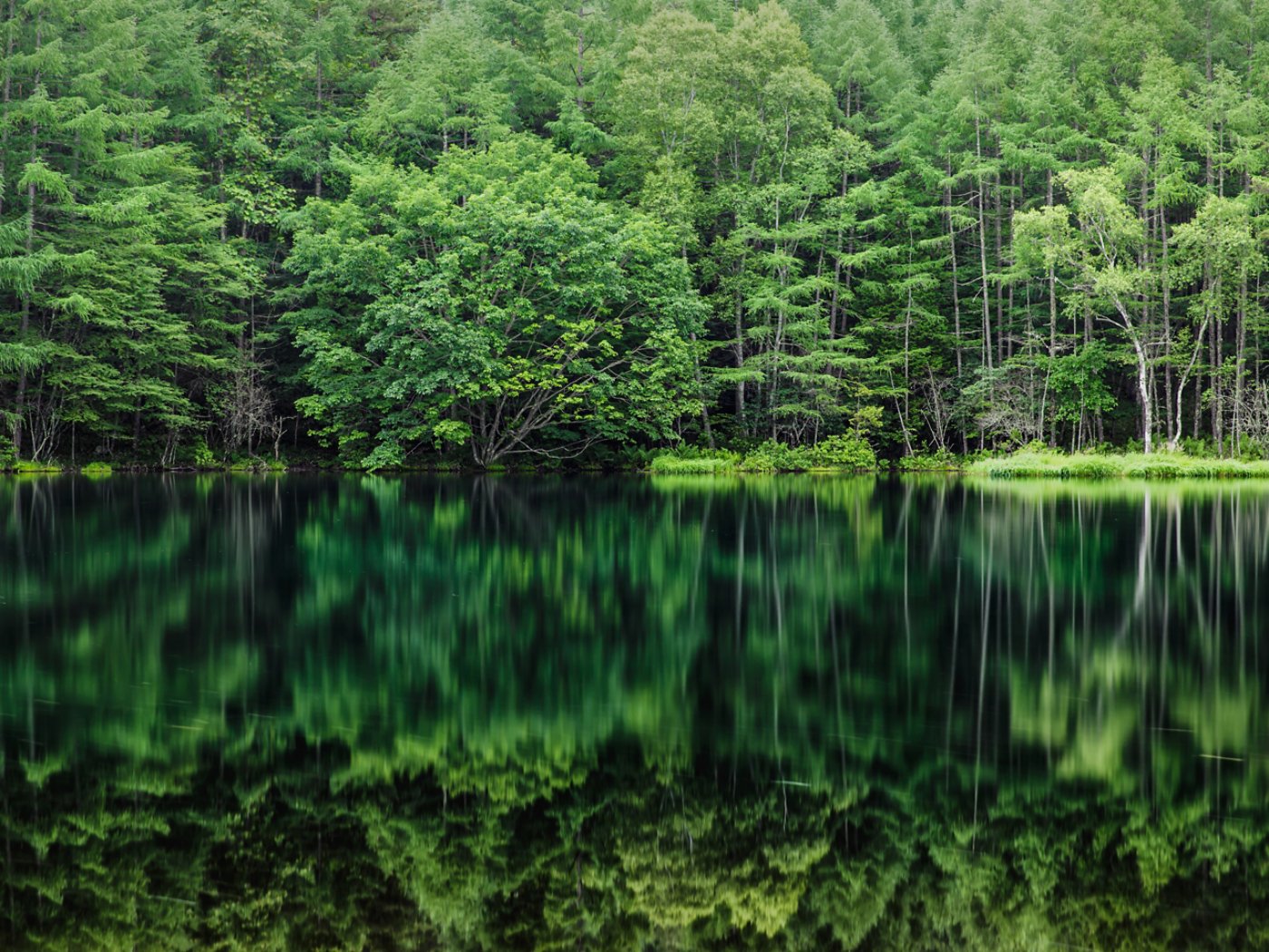 The scenery of Mishakaike in Chino city, Nagano