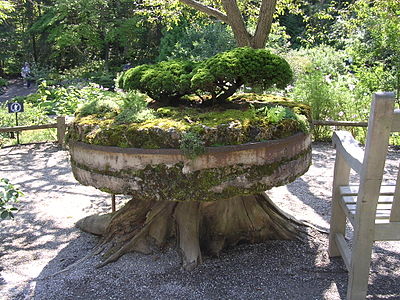 Garden Millstone at Jardins de M�tis, Quebec.