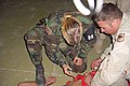 Image 14US Military Police officer restraining and sedating prisoner, while a soldier holds him down (from Political corruption)