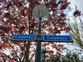 Legolas and Celeborn street in Geldrop