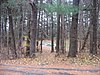 Studebaker Clubhouse and Tree Sign