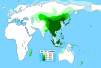 Y染色体ハプログループO型の世界分布図