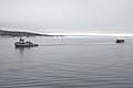 Tandberg Polar towing Maud through the Bellot Strait towards Greenland in early September 2017.