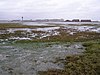 Calshot Marshes