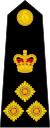 Brigadier