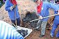 Opening of the charcoal pile