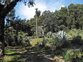 View of the botanical garden