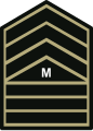 Master sergeant (Philippine Army)[9]