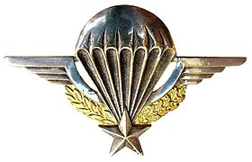 French Parachute Brevet.