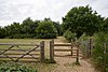 Netley Common