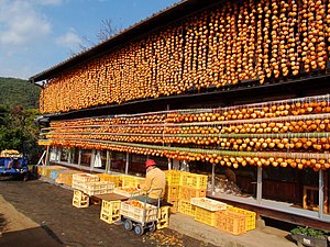 Persimmons drying in Kōshū city, Japan