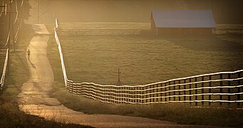 Runner on the farm road