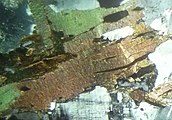 Biotite in thin section under cross-polarized light.