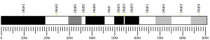 Chromosome 18 (mouse)