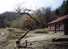 Landsbygden i Shuangyashan, Heilongjiang.