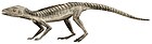 Hoplosuchus kayi