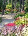 La pin�de, the avenue of pines in the Parc Floral de Paris.