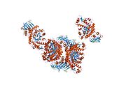 1o7a: HUMAN BETA-HEXOSAMINIDASE B