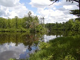 Insjö i Saint Croix State Park i Minnesota.