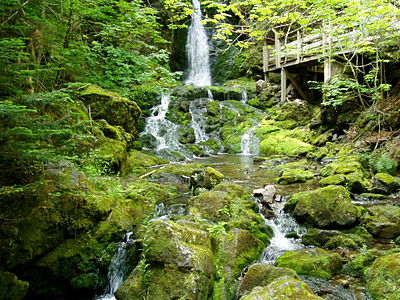 Dickson Falls