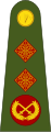 Lieutenant-general Leifteanant-ghinearál[25] (Irish Army)