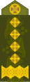 Colonel General (Ukrainian Ground Forces)