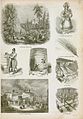 Image 1An illustration of brewing and distilling industry methods in England, 1858 (from Liquor)