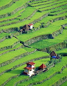 Banaue, Batad Rice Terraces with Homes circa 2000