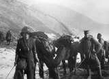 The Column of the First Serbian-English Field Hospital