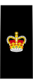 Ma�tre de 1re classe Royal Canadian Navy[3]