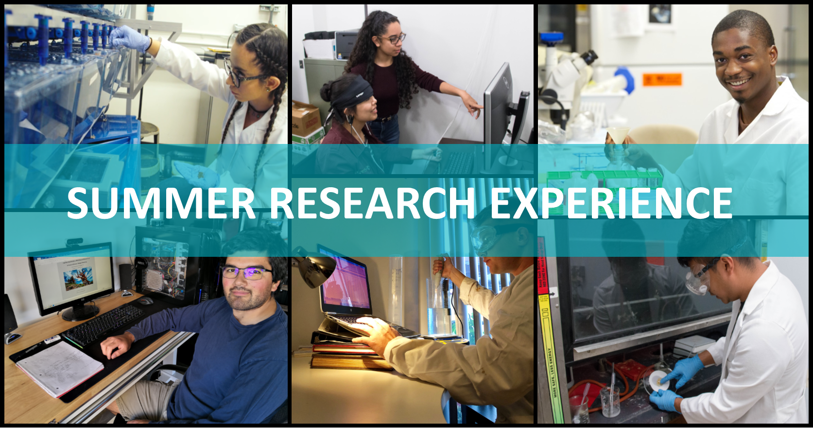 Summer Research Experience- Students conducting research