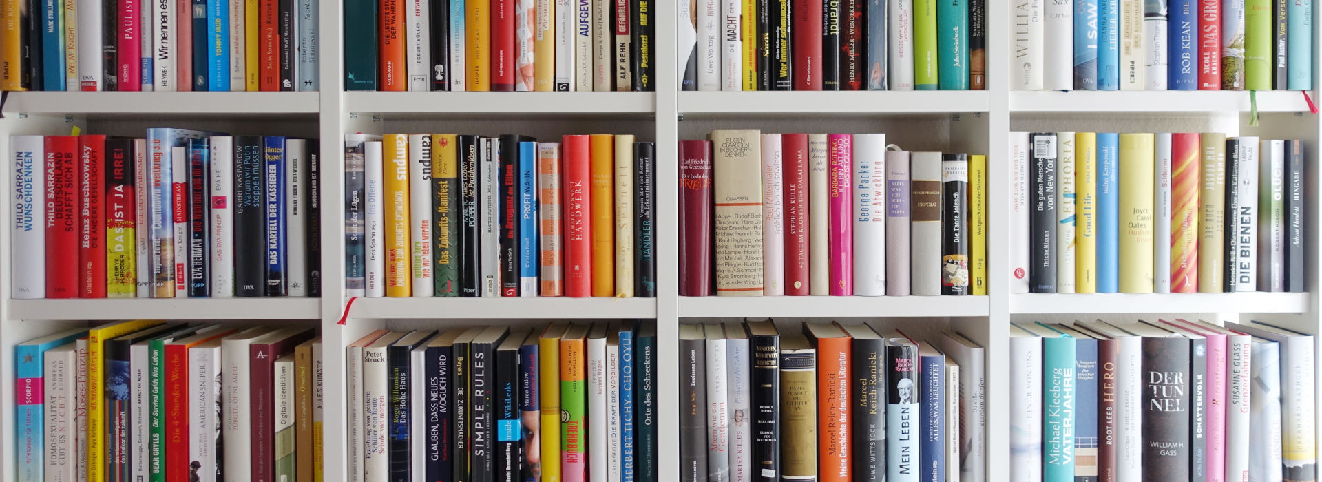 A wall of books in the library