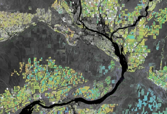 Satellite derived Earth Engine image showing seasonal agricultural peaks near the Columbia and Snake Rivers in Washington state. The perfectly round fields are center pivot irrigated corn and soy maturing in different months.