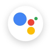 Google icon