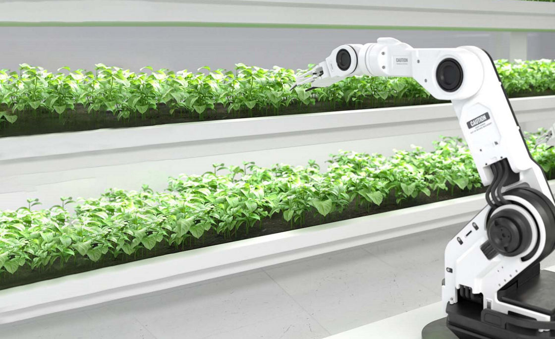 robot observing seedlings in lab