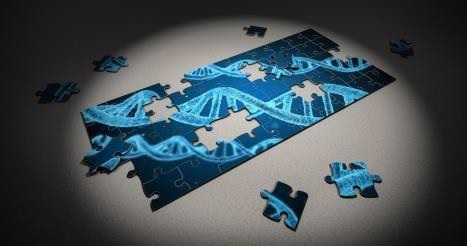 INTRODUCTION TO ANCIENT DNA ANALYSIS