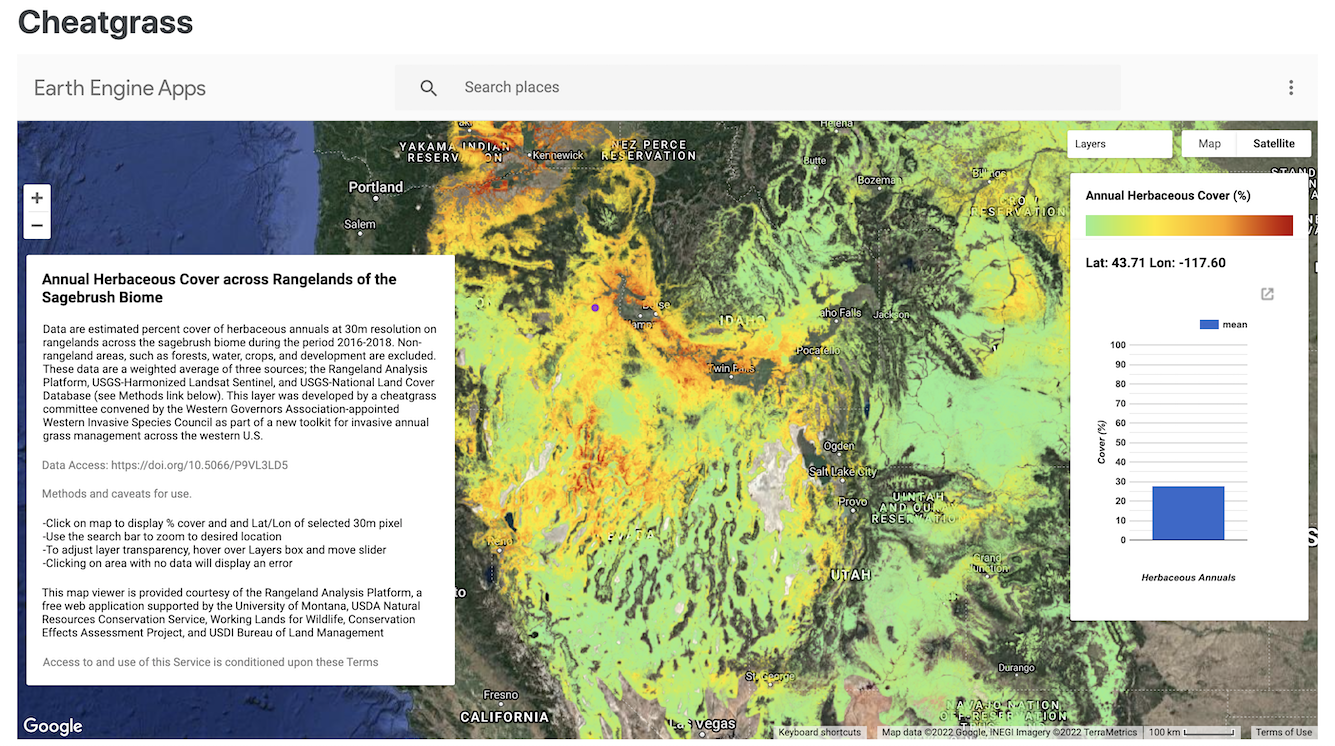 Cheatgrass app