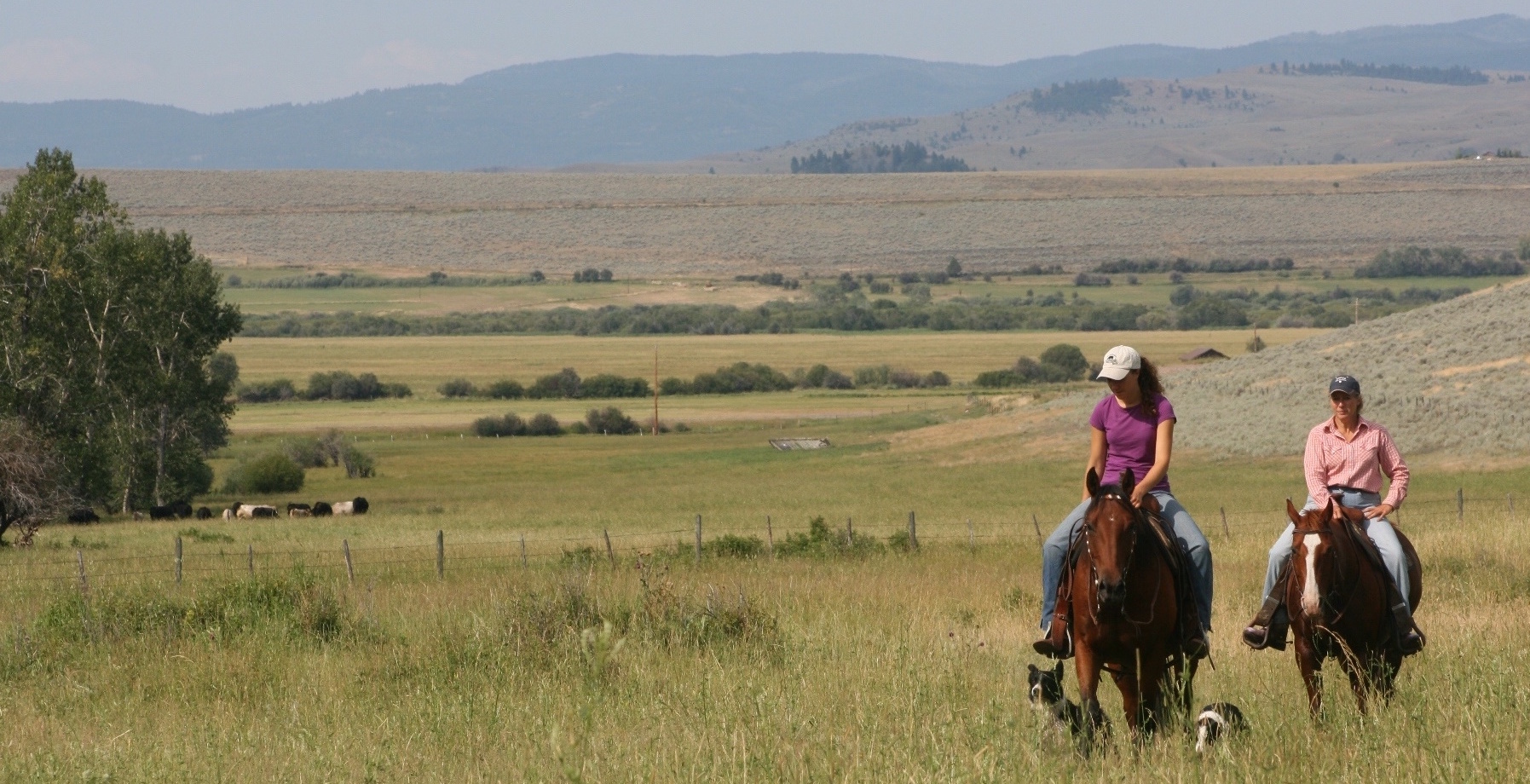 Ranchers